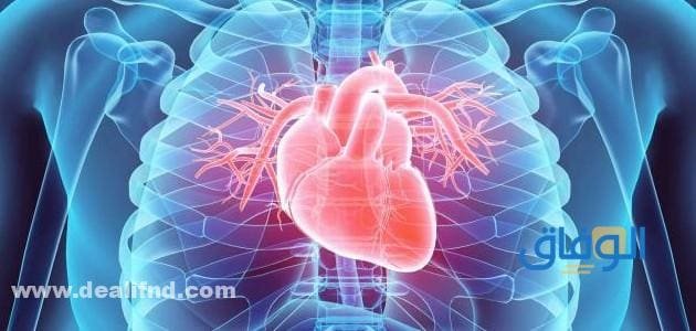 تعرف على 7 اعراض ضعف عضلة القلب وطرق الوقاية من المضاعفات