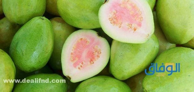 فوائد الجوافه