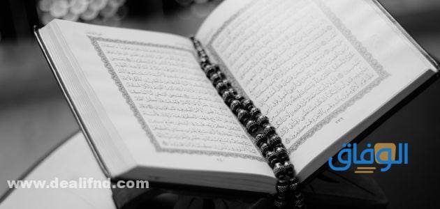 فوائد سورة يس