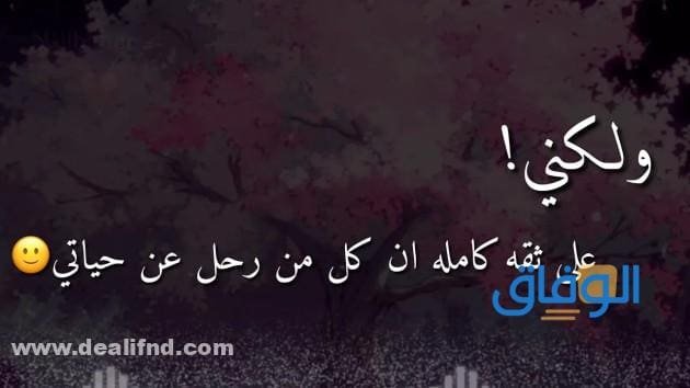 150+ أقوى عبارات عن عزة النفس | والكبرياء 2024