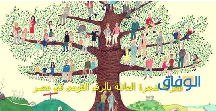شجرة العائلة بالرقم القومي