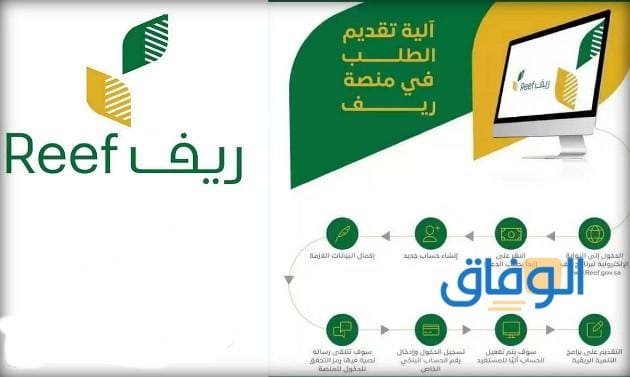 شروط برنامج ريف