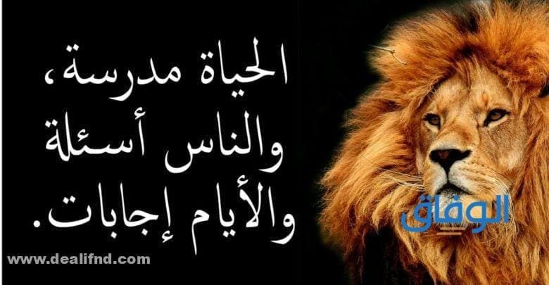 +200 أقوى وأجدد (عبارات عن الحياة والناس) 2024