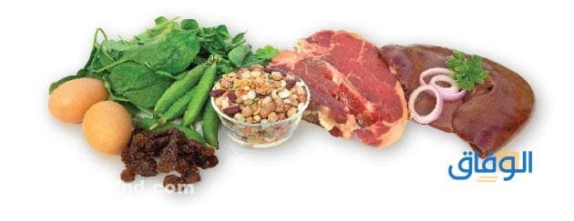 أكلات ترفع الحديد بسرعة؛ وهل تعتبر المكسرات من مصادر الحديد الطبيعية؟ - موقع الوفاق أكلات ترفع الحديد بسرعة