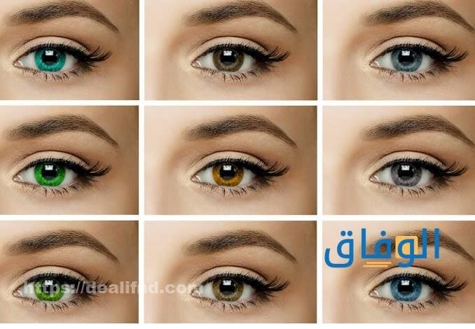 أنواع العدسات أكثر من 07 أنواع