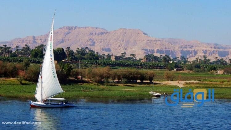 بحث عن نهر النيل | كامل 2024 جديد +10 حقائق