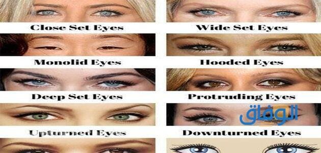 +05 اشكال العيون | أجمل العيون على الإطلاق أشكال العيون
