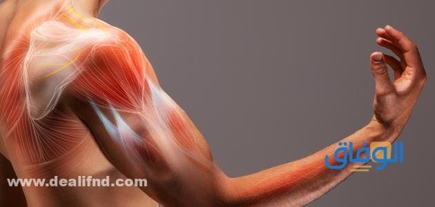 +05 أفضل مرهم لالتهاب الأوتار | من الصيدلية أفضل مرهم لالتهاب الأوتار