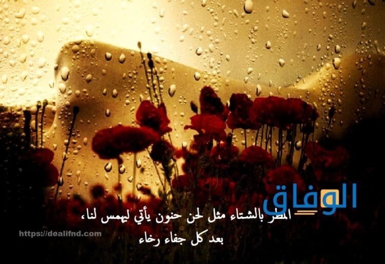 عبارات عن المطر للواتس أكثر من 20 عبارة