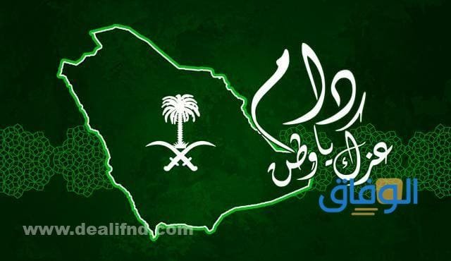 صور المملكة العربية السعودية +10 صور منوعة وجديدة الاحتفال باليوم الوطني بالمملكة العربية السعودية