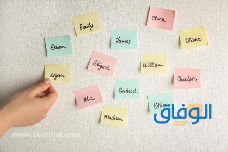 +240 اسماء حسابات انستقرام 2026 | يوزر للانستا جديد ومختلف اسماء حسابات انستقرام