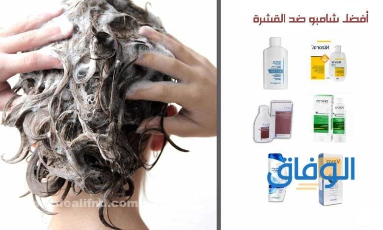 افضل شامبو للقشرة