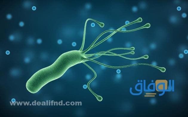 أهم +05 اكلات تقتل جرثومة المعدة | وأهم النصائح للتخلص منها