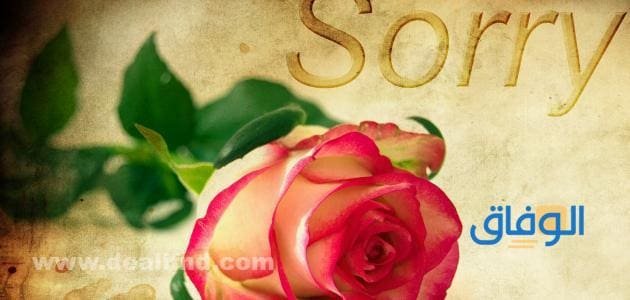 قاموس رسائل اعتذار رومانسية | جديدة 2024 شال ومنوع