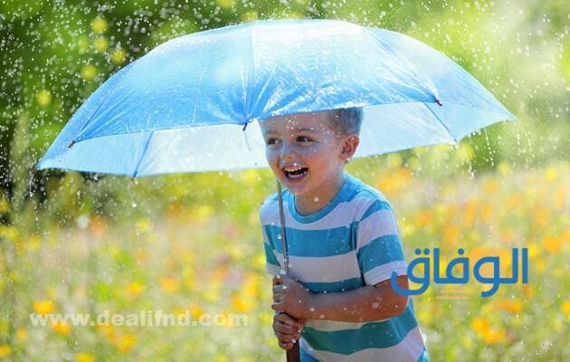 تفسير حلم المطر في المنام | أهم 10 تفسيرات المطر في المنام