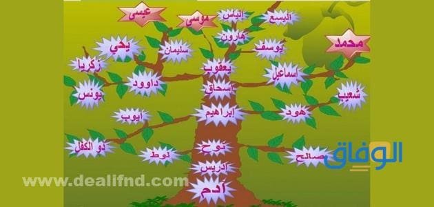 أسماء +25 الأنبياء بالترتيب وسبب تسميتهم بهذا الاسم