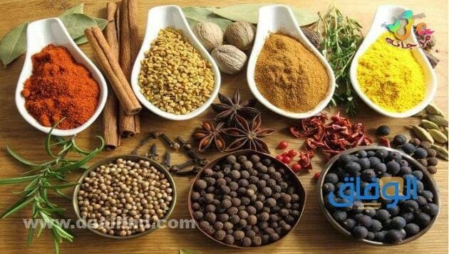 بهارات تخلي الاكل يجنن