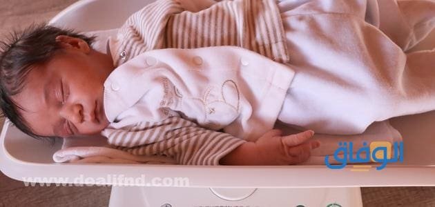 +40 عبارات تهنئة مولوده بنوته | في منتهى الجمال