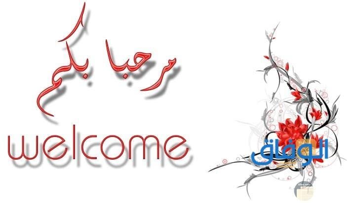 +20 كلمة افتتاحية لتقديم عرض | جديدة 2024 كلمة افتتاحية لتقديم عرض