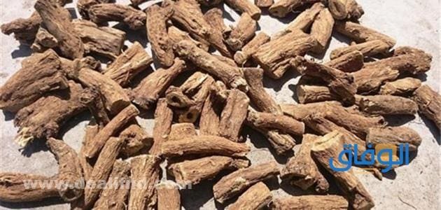 فوائد القسط الهندي للحمل