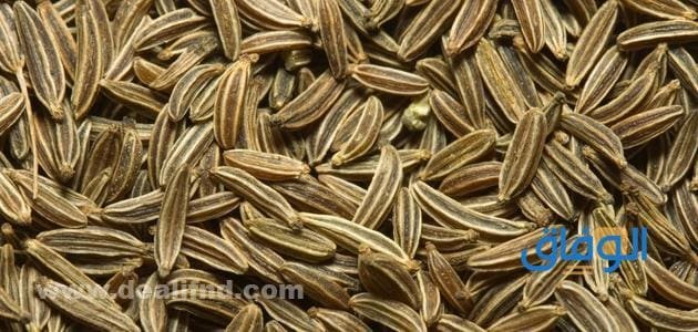 +08 فوائد الكمون للتخسيس | وطريقة عمله "</a