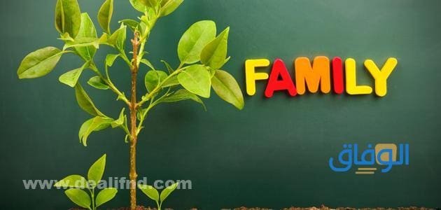 معرفة شجرة العائلة بالاسم : والرقم القومي معرفة شجرة العائلة بالاسم 1