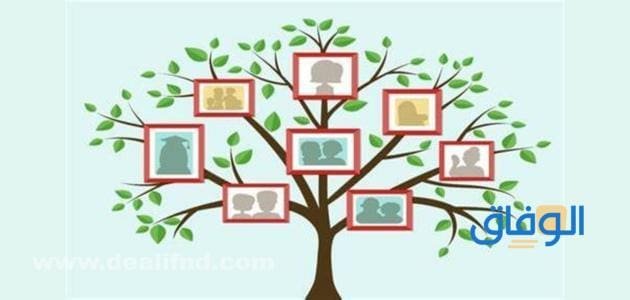 كيف يتم معرفة شجرة العائلة من دار المحفوظات ؟