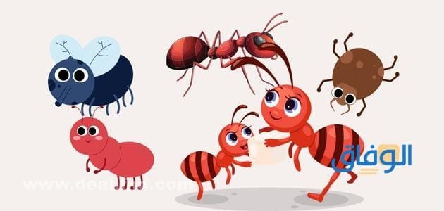 أكبر مجموعة نكت عن النمل مضحكة جدا