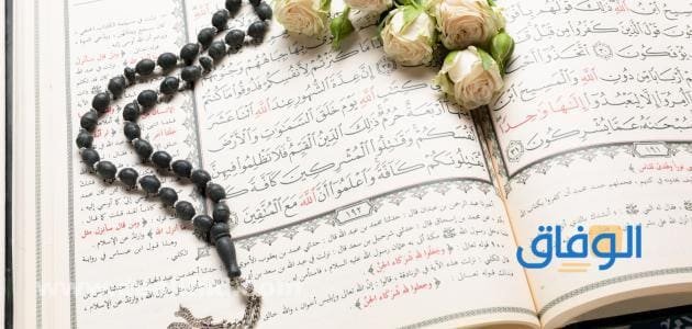 200+ عبارات دينيه | جميلة وراقية 2026 عبارات دينيه