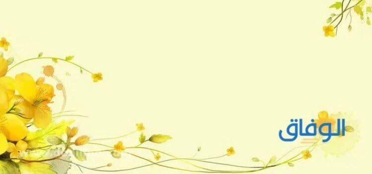 أجمل +50 خلفيات تصميم ورد 2024 جديدة