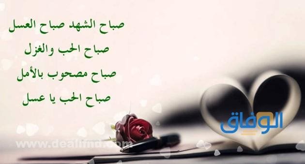 150+ عبارات عن الصباح | جديدة 2024