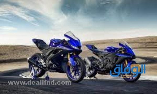 اسعار الدباب في السعودية | 2024 في السعودية