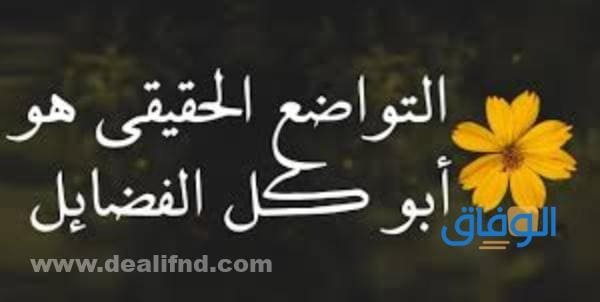 150+ أجمل عبارات حلوه | وجميلة للأصدقاء والأحباب رسائل حلوه