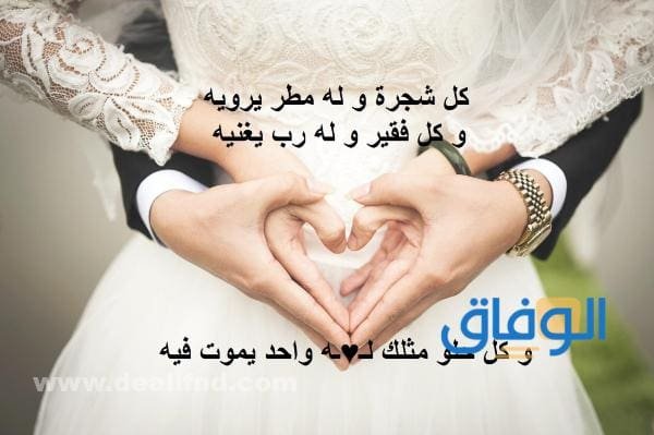 أجمل كلام زوجي حبيبي | +150 عبارة للزوج جميلة ورقيقة