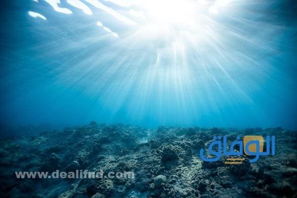 أكبر المواطن على سطح الأرض