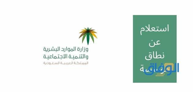 استعلام عن نطاق مؤسسة