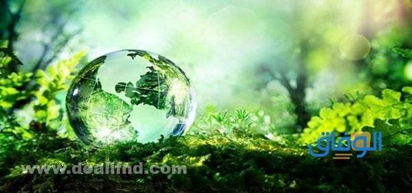 الأنظمة البيئية دائما متوازنة