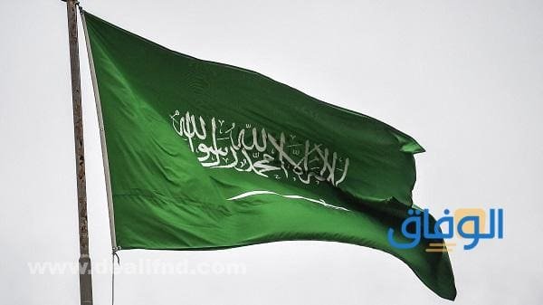 بحث عن طلب مقدم | 2024 تفاصيل بحث عن طلب مقدم