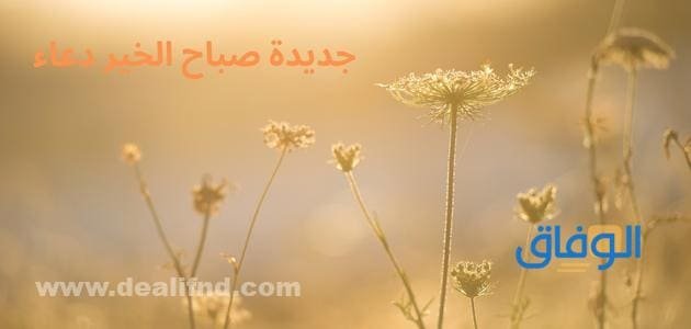 +200 جديدة صباح الخير دعاء 2024