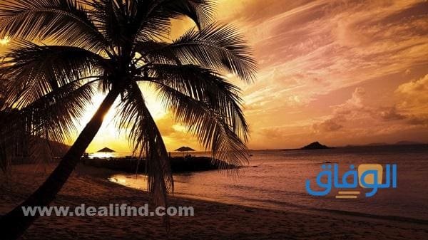 راقية خلفيات واتس اب