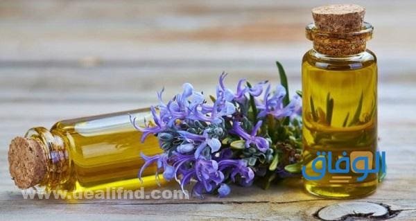 +08 فوائد زيت الروزماري؟ فوائد زيت الروزماري