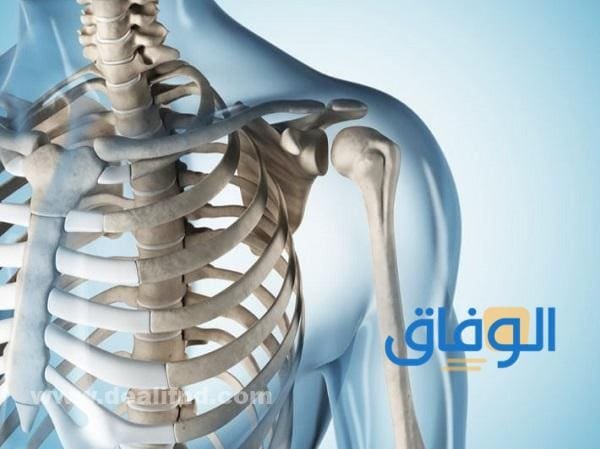 ماذا تعني عملية التعظم؟ 