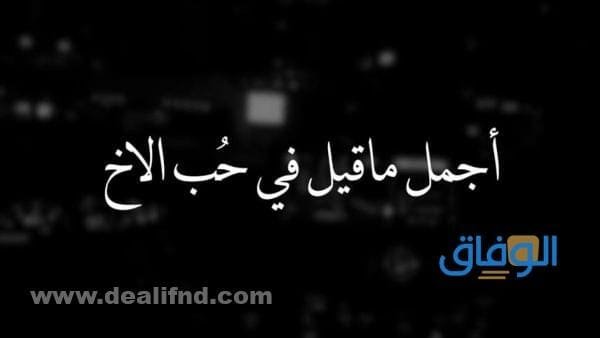 كلام عن الأخ الكبير