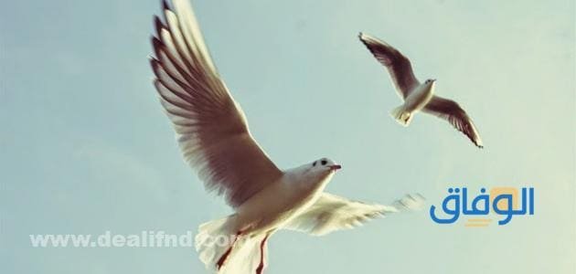 150+ خواطر مميزة ومنوعة عن الفراق والحب
