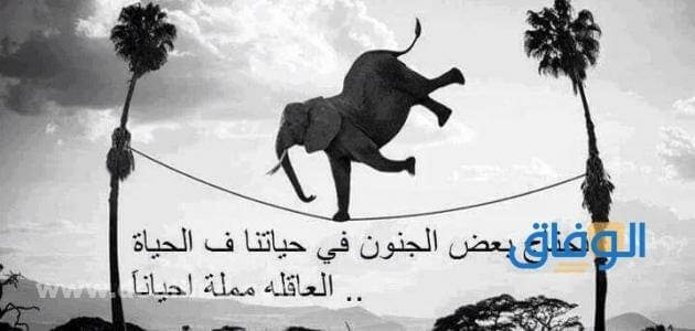 كلام جميل يجذب الناس| +88 عبارة جميلة وراقية
