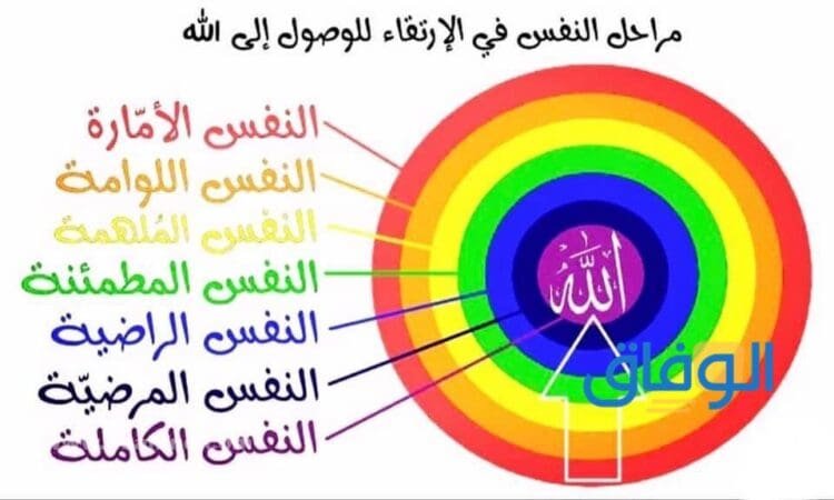 انواع النفس