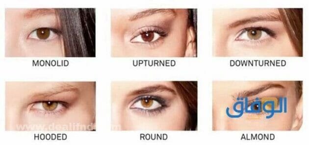انواع العيون واسمائها