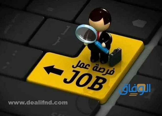 وظائف وزارة التربية والتعليم