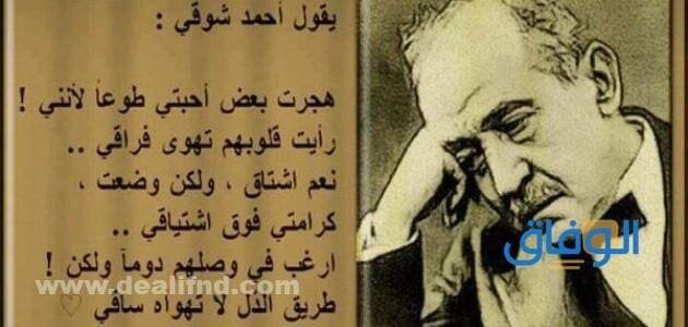 أجمل كلام على الصور | +80 عبارة مميزة مكتوبة؟