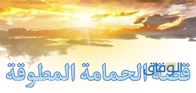 قصة الحمامة المطوقة